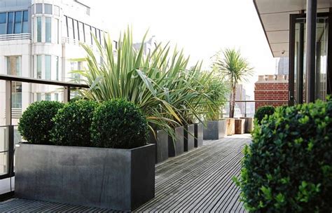 Garden Rooftop Designs