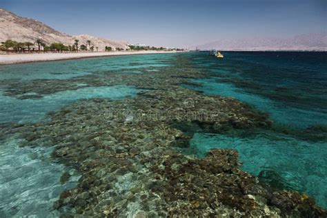 Coral Reef in the Gulf of Eilat Stock Photo - Image of eilat, landscape ...