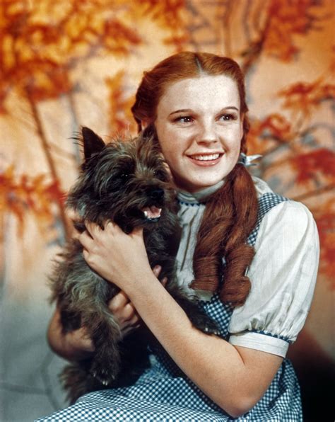 'The Wizard of Oz': Was Judy Garland Really Paid Less Than Toto for ...