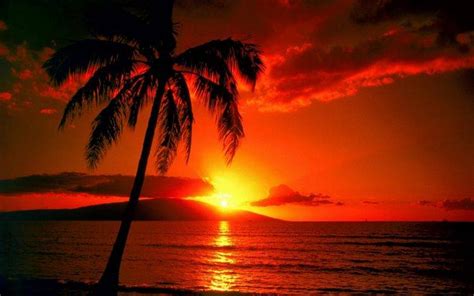 sunset, Landscape Wallpapers HD / Desktop and Mobile Backgrounds