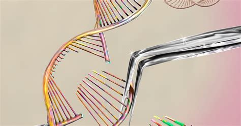 CRISPR Gene-Editing Could Revolutionize Medicine If Scientists Can ...