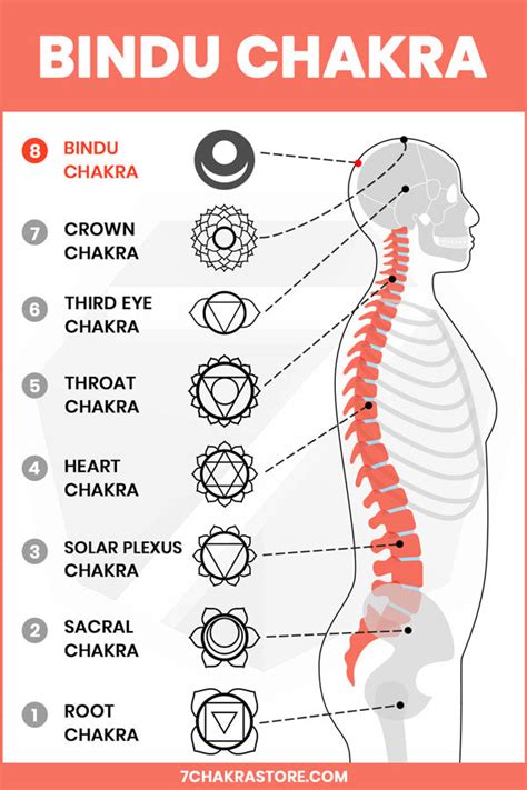 Bindu Chakra | 8th Chakra Meaning – 7 Chakra Store