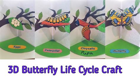 3D Butterfly Life Cycle Craft with free printable | Butterfly life cycle craft, Life cycle craft ...