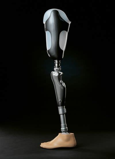 Wordmall: Prosthesis