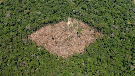 Brazil's rainforest faces new threats | The World from PRX