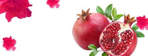 Pomegranate juice Clip art - pomegranate png download - 950*360 - Free Transparent Pomegranate ...