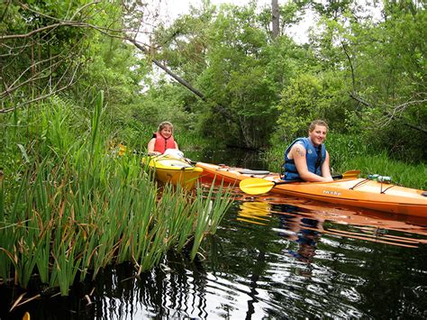 Alligator River Kayak Tours | #1 Rated Tour by Coastal Kayak