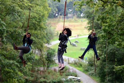 Treetop Trek | Cumbria.Guru