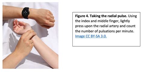 Clinical Techniques: Assessment of Vital Signs – A Mixed Course-Based Research Approach to Human ...