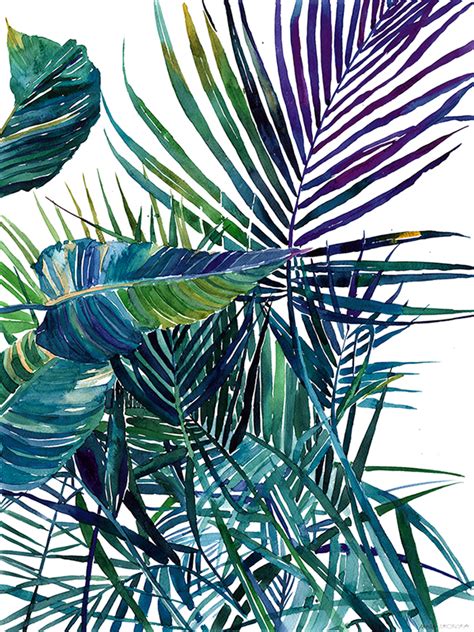 watercolor jungle :: Behance