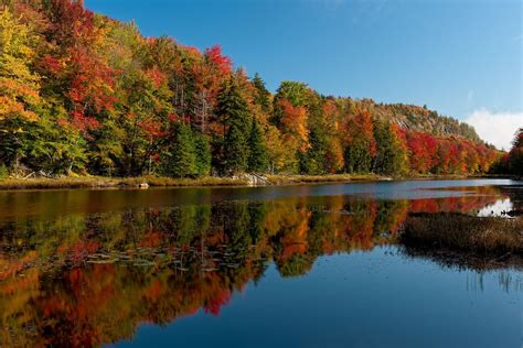 Some Fall foliage in Old Forge, NY! The leaf peeping is great this time of year - the colors are ...