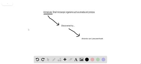 SOLVED:Who was the first to observe "animalcules" under the microscope? a. Antonie van ...