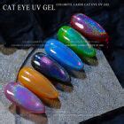 Crystal UV Gel Rainbow Cat Eye Nail Polish Gel Magnetic Universal ...