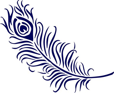 Line art, peacock feather 4439602 Vector Art at Vecteezy