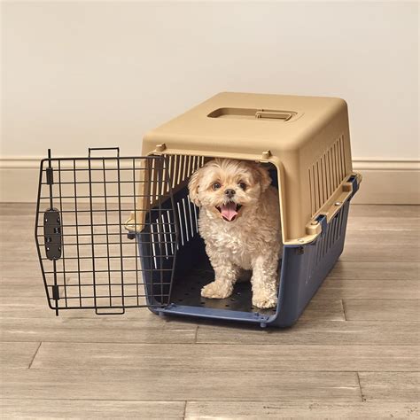 Pet Sentinel Travel Plastic Dog Crate, Small, 15.40"L x 15.70"W x 24"H ...