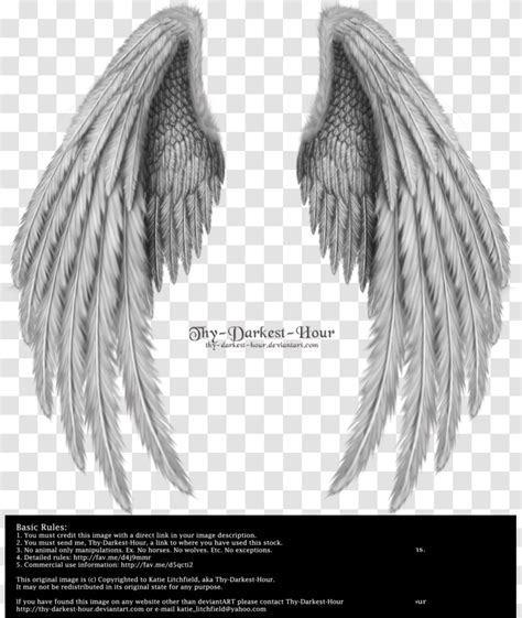 Angel Wing - Monochrome - Wing,Angel Wings,Real Transparent PNG