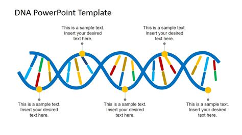 DNA Strands PowerPoint Template - SlideModel