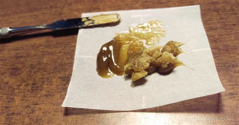 What Is the Rosin Technique & How to Make Rosin [video] - Sensi Seeds