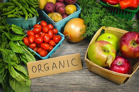 Alimentos orgánicos ¿Qué son? ¿Cuáles son sus beneficios?