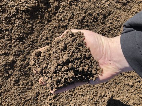 Standard Topsoil – River Valley Soil