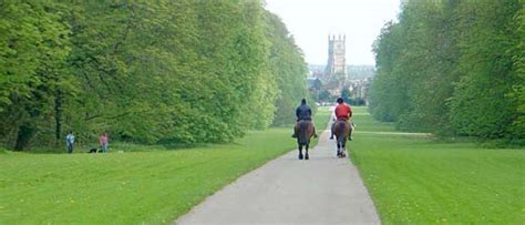 Cirencester Park, an oasis of calm in Cirencester