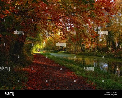 river Boyne, Co. Meat, Ireland Stock Photo - Alamy