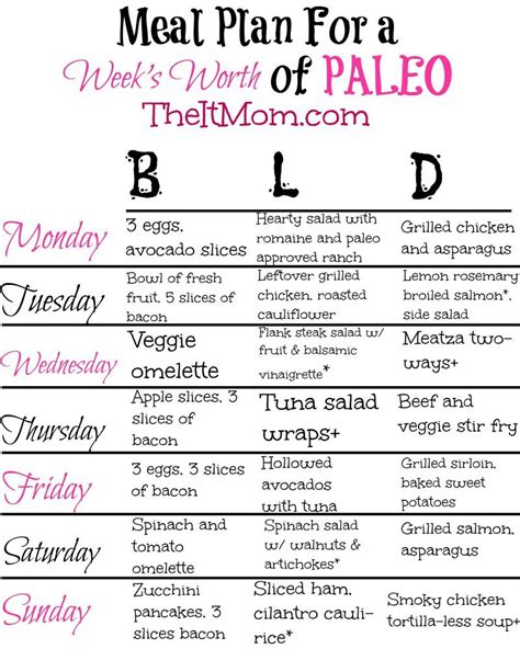 The Paleo Diet - A Beginner's Guide and Meal Plan