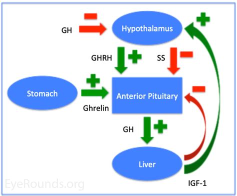 Growth hormone-related intracranial hypertension