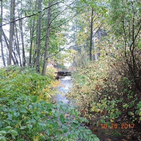 Chuckanut Drive in the Fall – The Oyster Bar on Chuckanut Drive - Bow, WA