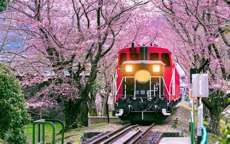 Book A Sagano Romantic Train Ticket in Kyoto