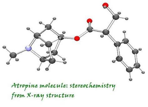 Atropine - Mrs. Nielsen Science