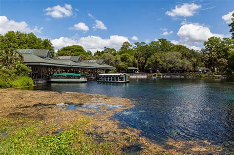 The Springs inside the Silver Springs State Park - Gate to Adventures