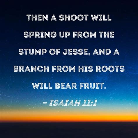 Isaiah 11:1 Then a shoot will spring up from the stump of Jesse, and a ...