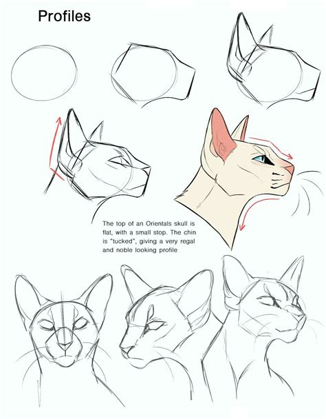 Коты in 2020 (With images) | Cat drawing tutorial, Animal drawings ...