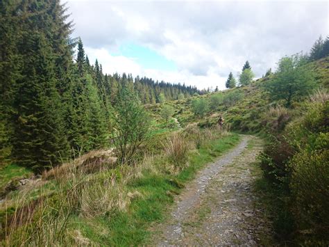 Waterfalls and Walking The Wye Valley Way, Hafren Forest in Wales