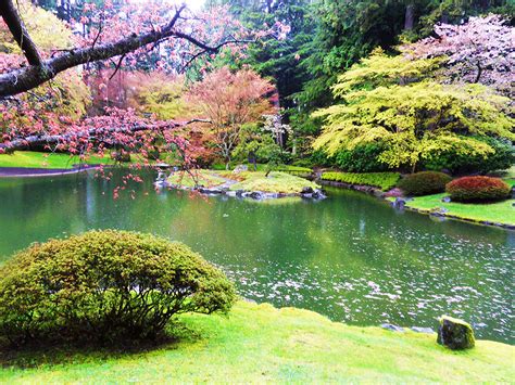 7 beautiful parks and gardens in Vancouver | YWCA Metro Vancouver Blog