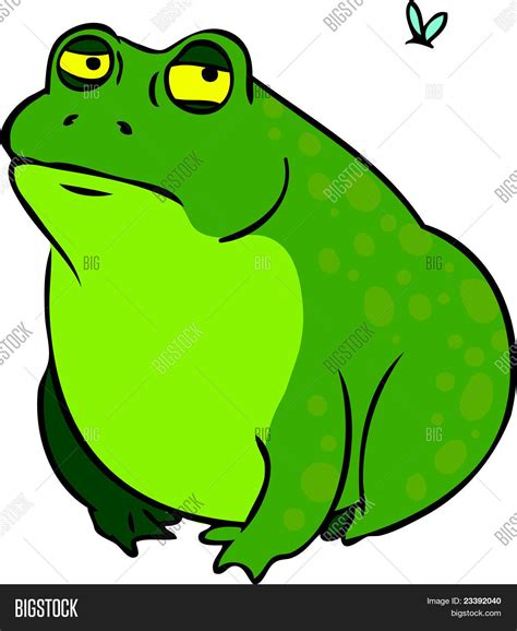 Grumpy fat frog cartoon character Stock Vector & Stock Photos | Bigstock