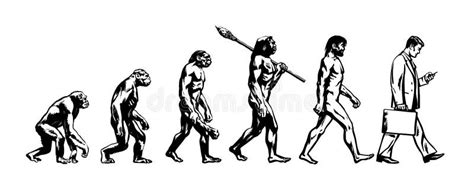 Aggregate 59+ human evolution drawing latest - xkldase.edu.vn