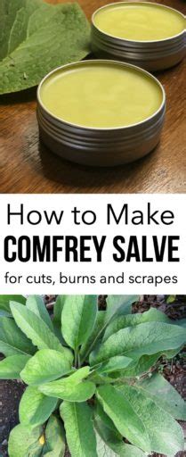 How to Make Comfrey Salve | The CentsAble Shoppin