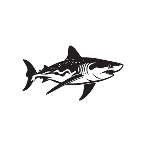 Shark Image Vector Image, Logo, design 34897965 Vector Art at Vecteezy