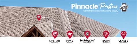 Atlas Pinnacle Pristine Shingles | Easy Windows & Siding, LLC