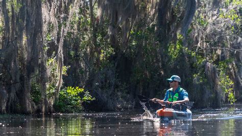 Kayaking the Okefenokee Swamp - In4adventure