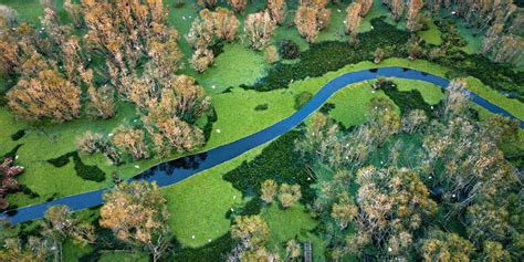 #3 main types of forest in Vietnam: Jungle, Mangrove and National park