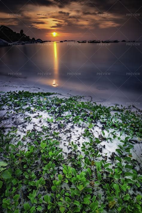 Sunset At Tanjung Tinggi Beach - Stock Photos | Motion Array