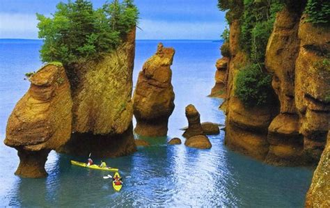 Bay Of Fundy (New Brunswick) - 2021 What to Know Before You Go (with Photos) - Tripadvisor