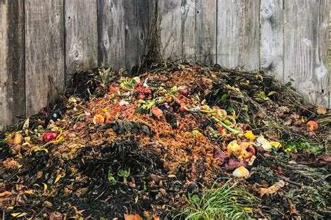 Creating The Perfect Fall Compost Pile From Autumn's Bounty