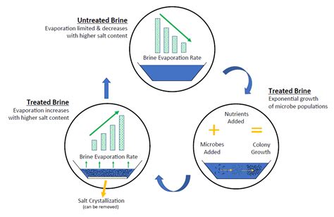 Brine Solutions Using Microbes – Clear Creek Environmental Solutions