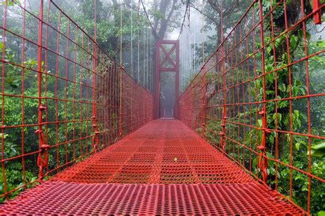 A Self-Guided Hike in the Monteverde Cloud Forest Reserve