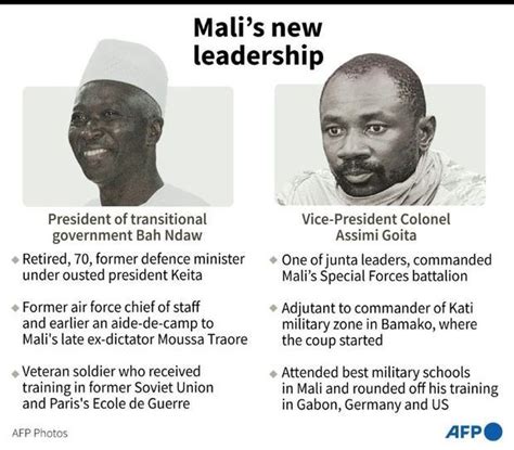 Mali's new interim leader stands by handover, international accords - Digital Journal