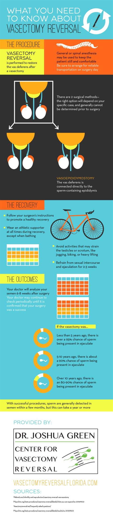 Vasectomy Reversal Diagram